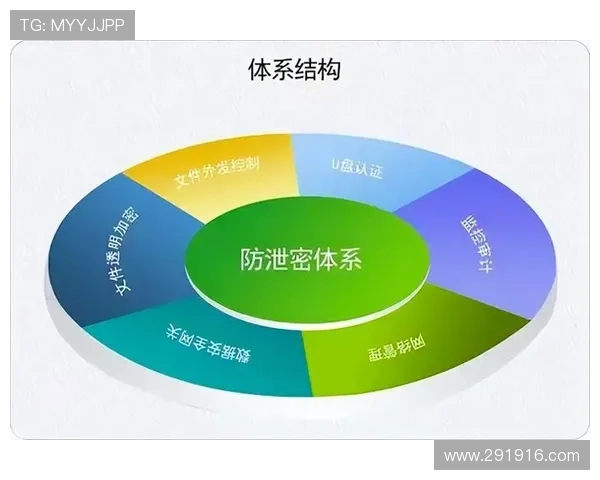 K1体育平台app的安全性与隐私保护措施